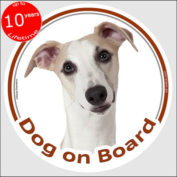 Circle sticker "Dog on board" 15 cm, fawn Whippet Head, decal adhesive car label snap dog