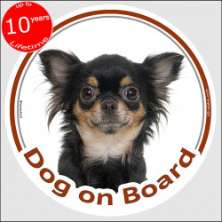 Circle sticker "Dog on board" 15 cm, Black and Tan longhaired Chihuahua Head, decal adhesive car label long hair
