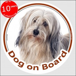 Circle sticker "Dog on board" 15 cm, golden and white Tibetan Terrier Head, decal adhesive label fawn