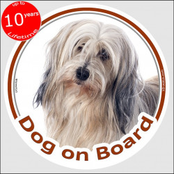 Golden & white Tibetan Terrier, circle sticker "Dog on board" 15 cm