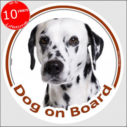 Circle sticker "Dog on board" 15 cm, Dalmatian Head, decal adhesive car label, carriage spotted coach plum pudding
