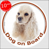 Circle sticker "Dog on board" 15 cm, creme American Cocker Spaniel Head, decal adhesive car label, white