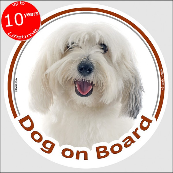 Circle sticker "Dog on board" 15 cm, Coton de Tuléar Head, decal adhesive car label cotie