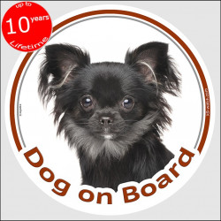  Black longhaired Chihuahua Head,, circle sticker "Dog on board" decal adhesive car label photo