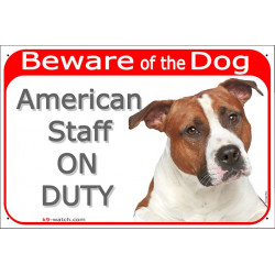 Portal Sign red 24 cm Beware of the Dog, red fawn and white Amstaff on duty