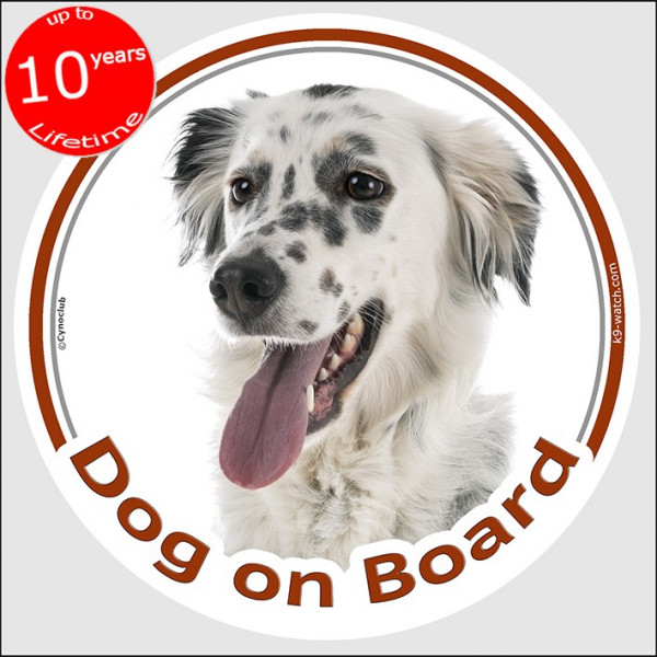 Circle sticker "Dog on board" 15 cm, English Setter Head, decal adhesive car label British