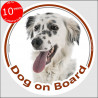 Circle sticker "Dog on board" 15 cm, English Setter Head, decal adhesive car label British