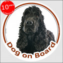 black English Cocker Spaniel, circle car sticker "Dog on board" 15 cm