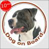 Circle sticker "Dog on board" 15 cm, black and white Amstaff Head, decal adhesive car la bel American Staffordshire Terrier