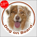 red merle Australian Shepherd, circle car sticker "Dog on board" 15 cm