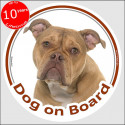 Old English Bulldog, circle car sticker "Dog on board" 15 cm