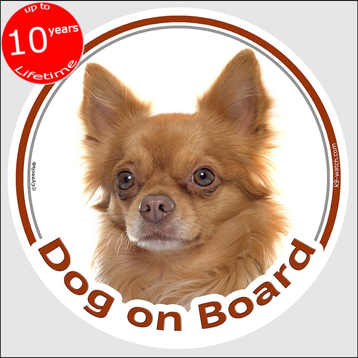 Sticker Circle Sticker Dog On Board 15 Cm Red Long Hair