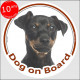 Black & tan Pinscher , circle sticker "Dog on board" 15 cm, car decal label adhesive Pinsher