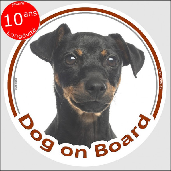 Black & tan Pinscher , circle sticker "Dog on board" 15 cm, car decal label adhesive Pinsher