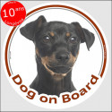 Black & tan Pinscher , circle sticker "Dog on board" 15 cm, car decal label