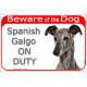 Red Portal Sign "Beware of the Dog, Spanish Galgo on duty" gate plate, notice dog photo greyhound notice