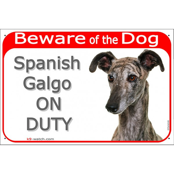 Red Portal Sign "Beware of the Dog, Spanish Galgo on duty" gate plate, notice dog photo greyhound notice