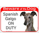 Red Portal Sign "Beware of the Dog, Spanish Galgo on duty" 24 cm