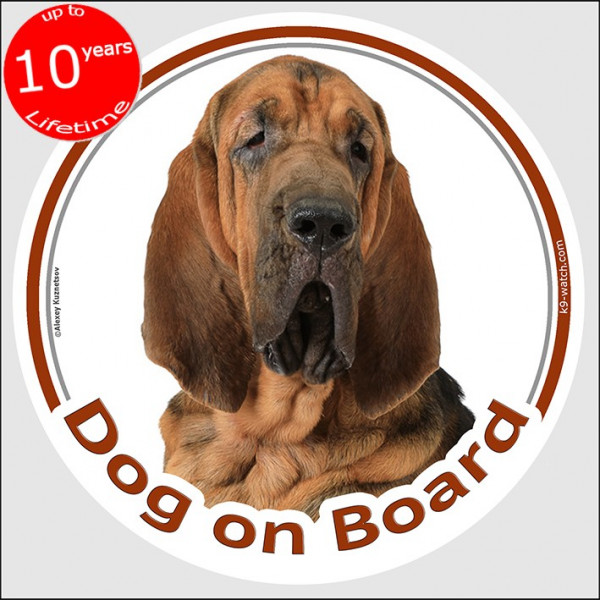 Bloodhound, circle sticker "Dog on board" 15 cm, car decal label adhesive st hubert hound photo notice