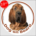 Bloodhound, circle sticker "Dog on board" 15 cm