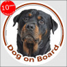 Rottweiler , circle sticker "Dog on board" 15 cm, car decal label adhesive Rottie Rott