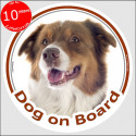 Australian Shepherd red tricolour, circle sticker "Dog on board" 15 cm, car decal label