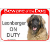 Red Portal Sign "Beware of the Dog, Leonberger on duty" 24 cm, gate plate notice dog photo