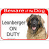 Red Portal Sign "Beware of the Dog, Leonberger on duty" 24 cm