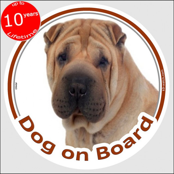 Shar-Peï cream , circle sticker "Dog on board" 15 cm, car decal label photo dog Sharpei
