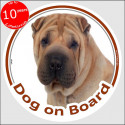 Shar-Peï cream, circle sticker "Dog on board" 15 cm, car decal label A