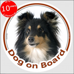 Shetland Sheepdog tricolour, circle sticker "Dog on board" car decal label, Tricolor Sheltie black and Tan photo notice