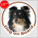 Shetland Sheepdog, car circle sticker "Dog on board" 15 cm,