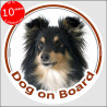 Shetland Sheepdog tricolour, circle sticker "Dog on board" car decal label, Tricolor Sheltie black and Tan photo notice