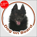 Schipperke, circle sticker "Dog on board" 15 cm, car decal label A
