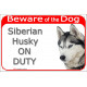 Red Portal Sign "Beware of the Dog, grey Siberian Husky on duty" 24 cm, photo notice gate plate placard