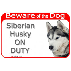 Red Portal Sign "Beware of the Dog, grey Siberian Husky on duty" 24 cm, photo notice gate plate placard