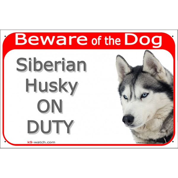 Red Portal Sign "Beware of the Dog, grey Siberian Husky on duty" 24 cm, photo notice gate plate placard