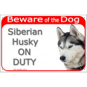 Red Portal Sign "Beware of the Dog, grey Siberian Husky on duty" 24 cm A