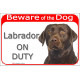 Red Portal Sign "Beware of the Dog, brown Chocolate Labrador retriever on duty" 24 cm gate plate photo notice