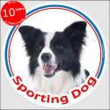 Border Collie, circle car sticker In/Out "Sporting Dog" 15 cm A