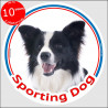 Black and white long hair Border Collie, circle car sticker In/Out "Sporting Dog" 15 cm decal label notice sport agility