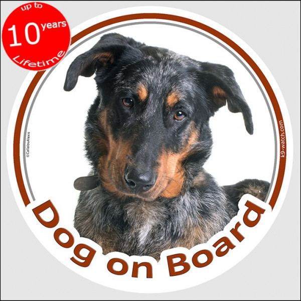 Harlequin Beauceron, circle sticker "Dog on board" 15 cm, car decal label, merle photo notice merle shepherd french sheep adhesi