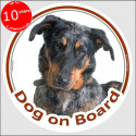 Harlequin Beauceron, circle sticker "Dog on board" 15 cm, car decal label A