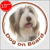 Fawn and white Bearded Collie, circle sticker "Dog on board" 15 cm, car decal label adhesive photo notice highland mountain hair