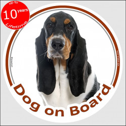 Tricolour Basset Hound, circle sticker "Dog on board" 15 cm, car decal label adhesive photo notice