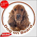 Red English Cocker Spaniel, circle sticker "Dog on board" 15 cm, car decal label