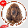 Red English Cocker Spaniel, circle sticker "Dog on board" 15 cm, car decal label, Fawn British photo dog notice 