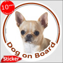 Fawn short hair Chihuahua, circle sticker "Dog on board" 15 cm, car decal label