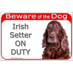 Red Portal Sign "Beware of the Dog, Irish red Setter on duty" 24 cm, gate plate photo notice