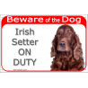 Red Portal Sign "Beware of the Dog, Irish red Setter on duty" 24 cm, gate plate photo notice